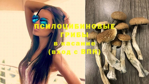 трава Лихославль