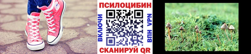 МЕГА рабочий сайт цены наркотик Тутаев Галлюциногенные грибы прущие грибы