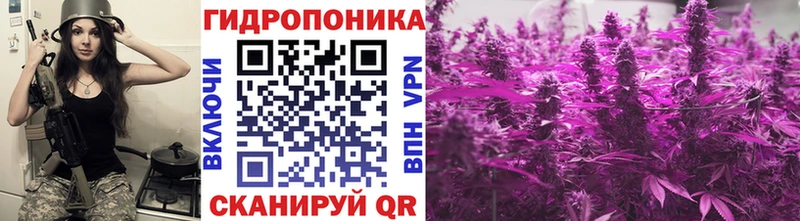 kraken tor  Тутаев  Каннабис сатива  даркнет сайт 